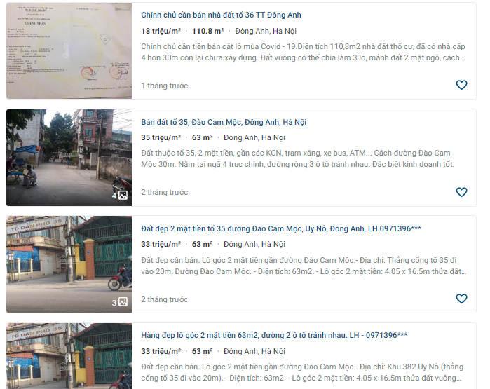 Giá đất đường Đào Cam Mộc, Thị trấn Đông Anh, Hà Nội - Ảnh 4.