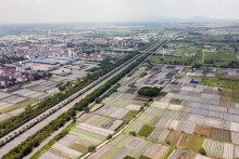 Huyện Đông Anh sắp thu hồi gần 500 ha đất làm công viên phần mềm, loạt khu đô thị mới, tổ hợp y tế của TH,...