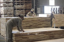 Ấn Độ rà soát cuối kỳ thuế áp thuế chống bán phá giá ván sợi Việt Nam