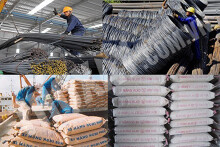 Giá vật liệu xây dựng tại Quảng Bình tháng 6/2021