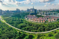 Không thẩm định năng lực tài chính là hạn chế bước đầu trong đấu giá đất