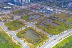 Hai công ty trúng đấu giá đất Thủ Thiêm chưa nộp tiền như cam kết