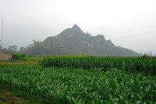 Thái Nguyên quy hoạch trường đua ngựa ở huyện Đại Từ