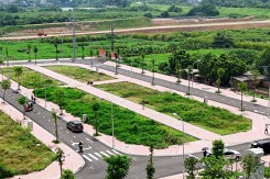 Dừng phiên đấu giá 24 lô đất ở Thanh Oai