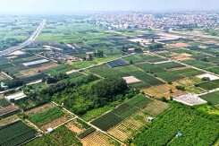 Hưng Yên đấu giá 81 suất đất ở tại xã Quang Hưng, khởi điểm từ 11 triệu đồng/m2