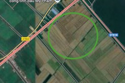 Đất có quy hoạch ở xã Long Thuận, huyện Thủ Thừa, tỉnh Long An