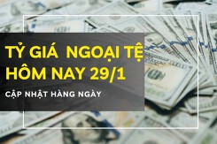 Tỷ giá ngoại tệ hôm nay 29/1 phần lớn ngoại tệ giảm mạnh, đôla Úc tiếp tục tăng