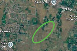 Đất có quy hoạch ở xã Tiên Minh, TP Hải Phòng