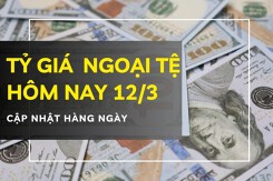 Tỷ giá ngoại tệ hôm nay 12/3 điều chỉnh trái chiều, euro “bốc hơi” hơn 100 đồng tại nhiều ngân hàng