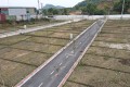 Hà Nội đấu giá 17 thửa đất ở tại xã Ứng Thiên, khởi điểm 11 triệu đồng/m2