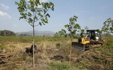 Campuchia thu hồi 742 ha đất của bầu Đức