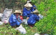 Sài Gòn nóng gần 40 độ C: Người dân xuống gầm cầu mắc võng ngủ trưa
