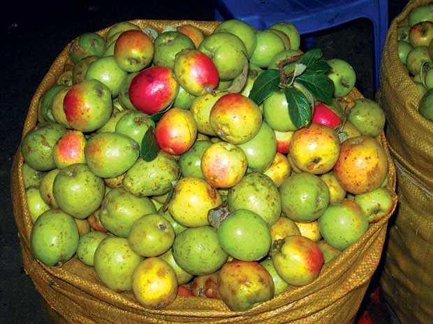 Bệnh từ miệng, người bị huyết áp thấp cần nhớ không nên ăn những thực phẩm này - Ảnh 3.