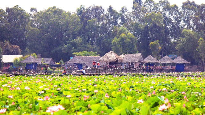 Đến Đồng Tháp du lịch để hòa mình cùng thiên nhiên vào mùa hè này - Ảnh 5.