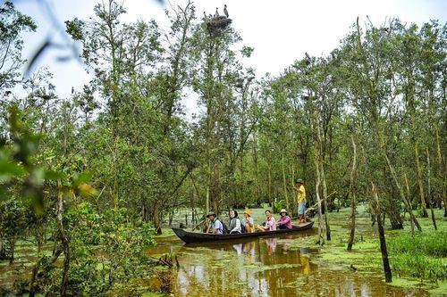 Đến Đồng Tháp du lịch để hòa mình cùng thiên nhiên vào mùa hè này - Ảnh 4.