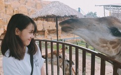 Những điều nên biết khi đến vui chơi ở Thiên đường Bảo Sơn