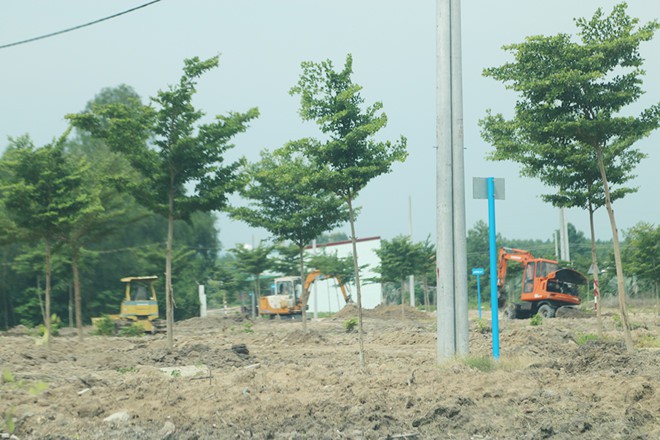 Dự án khu dân cư Alibaba Tân Thành vội vã lấp đường làm trái phép - Ảnh 2.