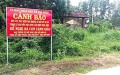 Đề nghị kiểm tra 2 dự án 2 triệu m2 của Alibaba ở Bình Thuận