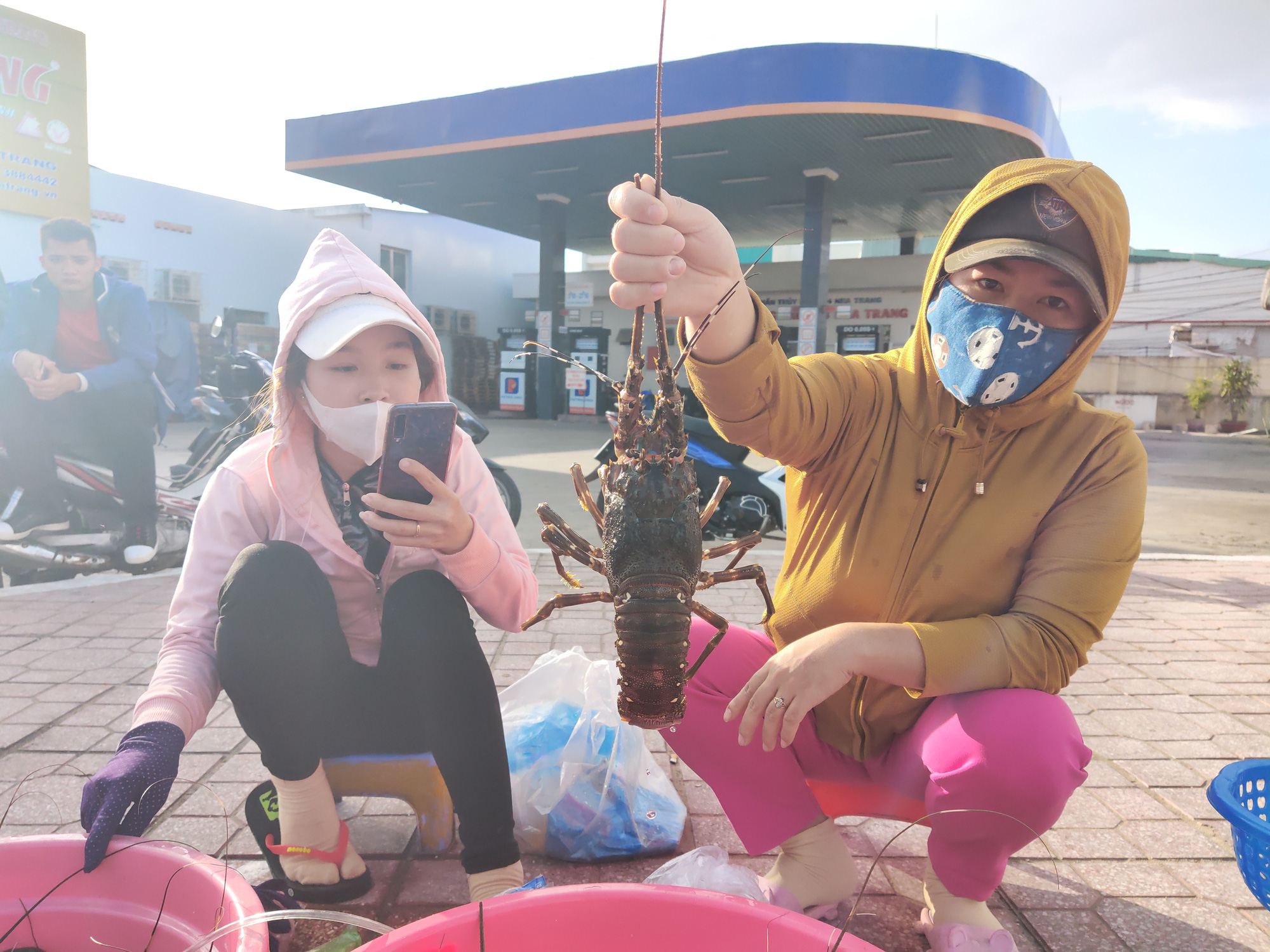 'Giải cứu' tôm hùm: Người nuôi tôm vẫn lỗ nặng - Ảnh 4.