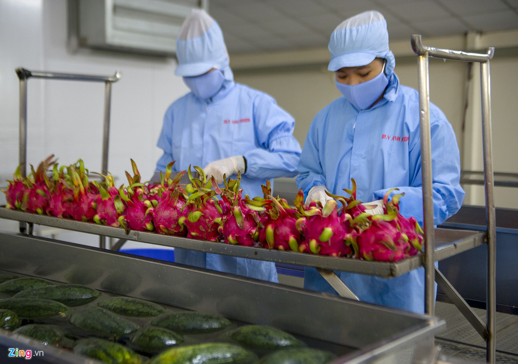 Bún dưa hấu, bánh tráng thanh long xuất khẩu - Ảnh 6.