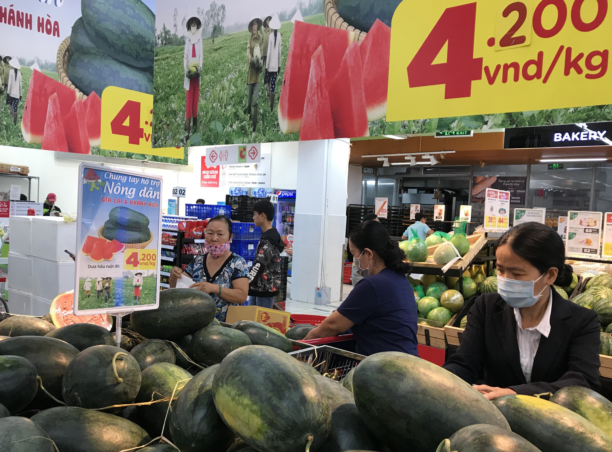 Giá từ 4.200 đồng/kg, các siêu thị đã giải cứu 1.000 tấn thanh long, dưa hấu giúp nông dân chỉ trong vài ngày - Ảnh 1.