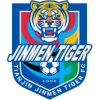 Tianjin Jinmen Tiger *