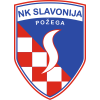 participant