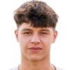 Sarcevic