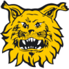 Ilves (Fin)