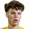 van der Velde