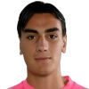 Pannozzo