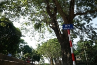 nghich ly o pho dat bo xe may tran via he khong ai xu phat