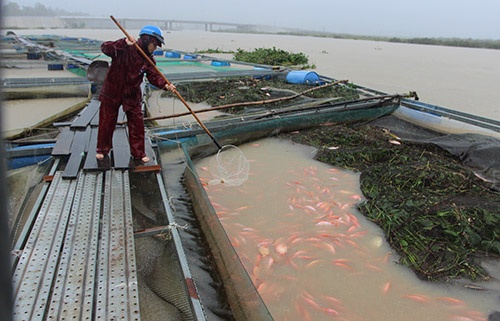 muon canh chay lu o quang nam sau mua lon bat thuong