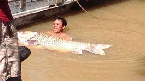can canh ca ho nang hon ta 4 nguoi moi khieng noi o vinh long