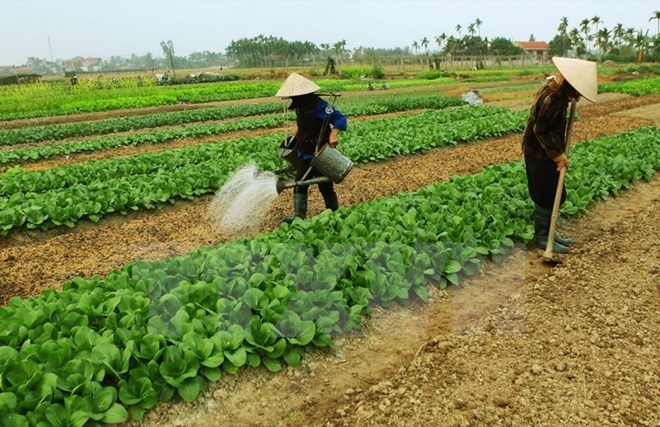 thu tuong chinh phu phan bo chi tieu su dung dat cap quoc gia