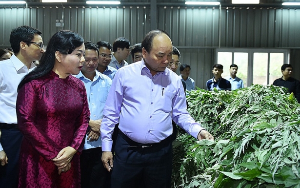 tiem nang tu nhung vung trong cay duoc lieu cua viet nam