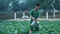tuan hung lai gay sot khi dung xe cuu nguoi bi tai nan tren duong