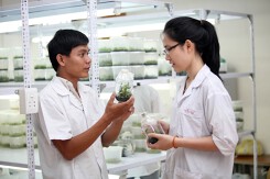 Cơ hội việc làm của sinh viên ngành Công nghệ Sinh học, Hóa dược
