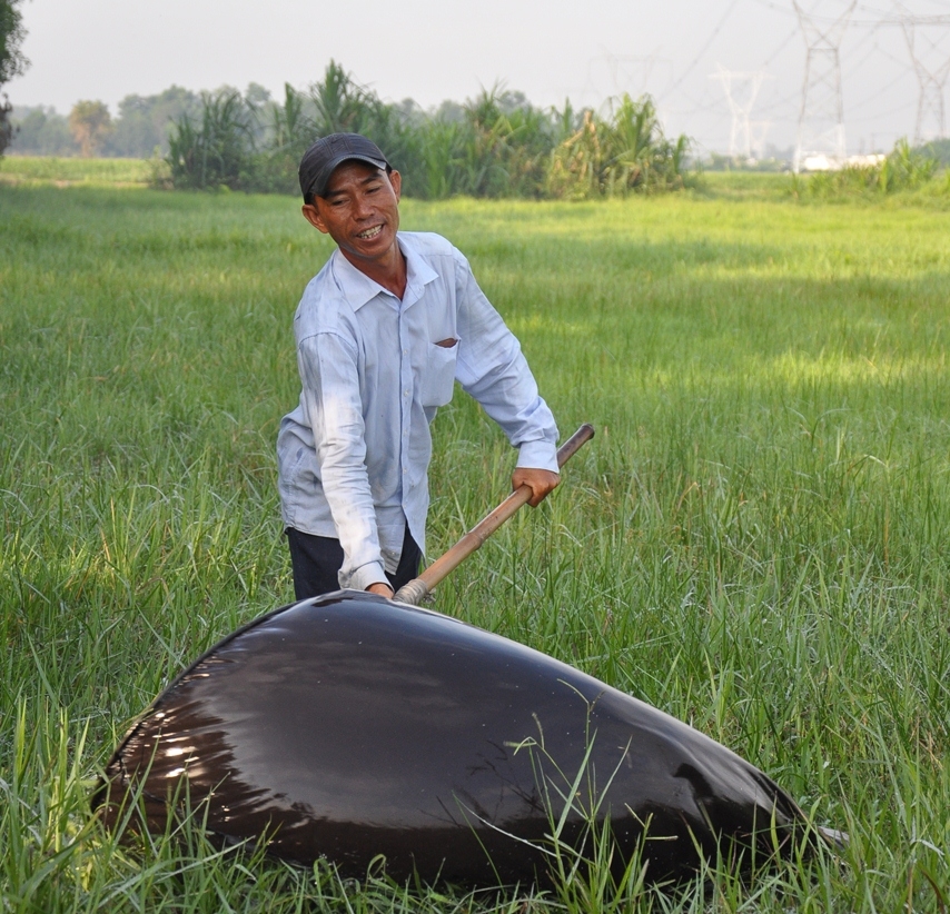 doc dao nghe bat cao cao cho thu nhap khung