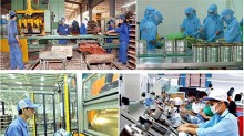 Nghị quyết 19-2018/NQ-CP: Tập trung cải thiện các chỉ số môi trường kinh doanh