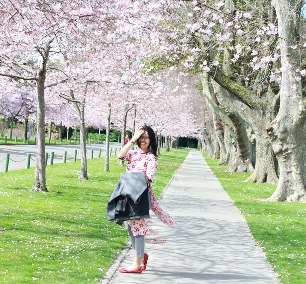 hoc sinh new zealand khong so truot dai hoc vi sao