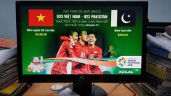 'Xôi lạc TV chính chủ' bị 'đạo nhái', cộng đồng mạng ra sức bảo vệ