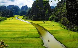 Tin tức Ninh Bình