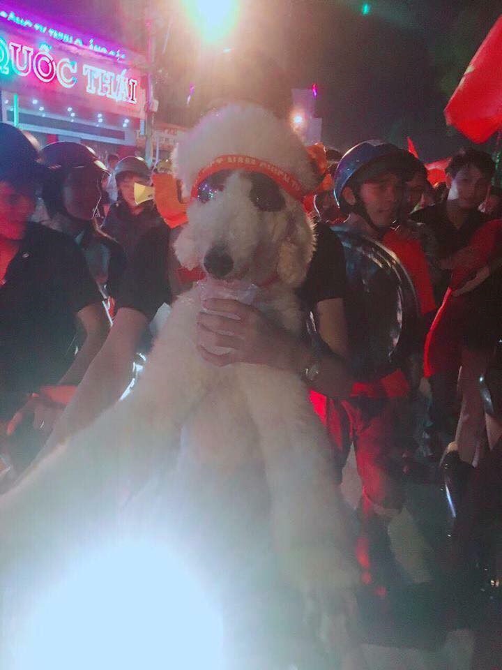1001 cach co dong vien an mung chien thang cua olympic viet nam