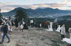 Ngọn đồi Đà Lạt 'một mét vuông trăm dâu rể chen chân'
