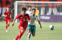 CĐV Indonesia: 'Việt Nam sẽ xin rút khỏi AFF vì họ sợ đá với chúng ta'
